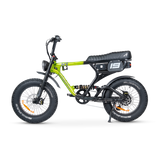 ACE PRO Electric Bike