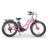 CHUBBIE-S 2 Electric Beach Cruiser Bike