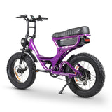 ACE-S PRO Dual Suspension Electric Bike