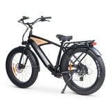 CHUBBIE V3 Electric Beach Cruiser