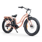 CHUBBIE-S 2 Electric Beach Cruiser Bike