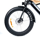 CHUBBIE-S V3 Electric Beach Cruiser