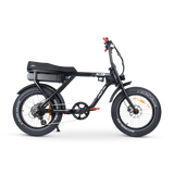 ACE-X Street Electric Bike