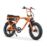 ACE-X Street Electric Bike