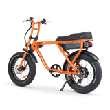 ACE-X Street Electric Bike