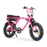 ACE-X Street Electric Bike