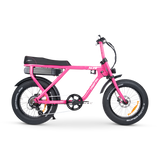 ACE-X Street Electric Bike