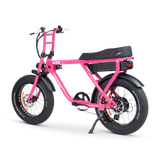 ACE-X Street Electric Bike