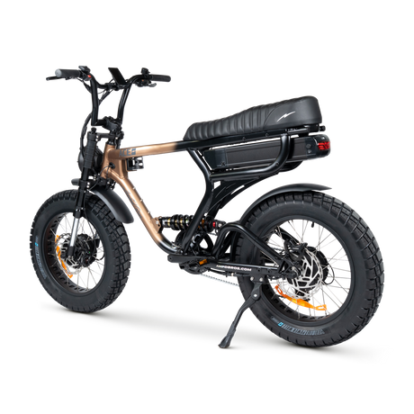 ACE-X Demon Dual Electric Bike