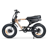 ACE-X Demon Dual Electric Bike