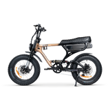 ACE-X Demon Dual Electric Bike