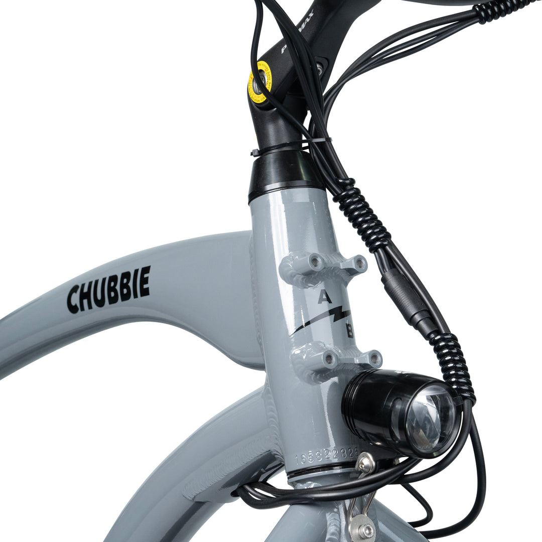 CHUBBIE Electric Beach Cruiser Bike