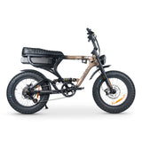 ACE-X PRO Dual Suspension Electric Bike