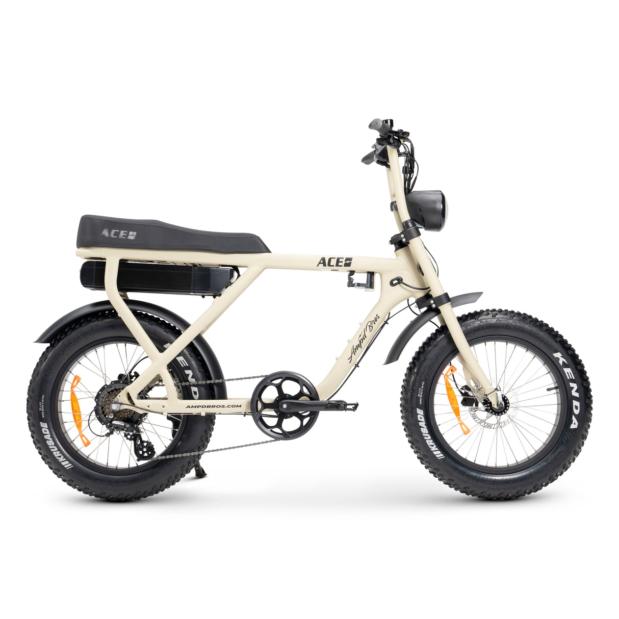 ACE-X Electric Bike