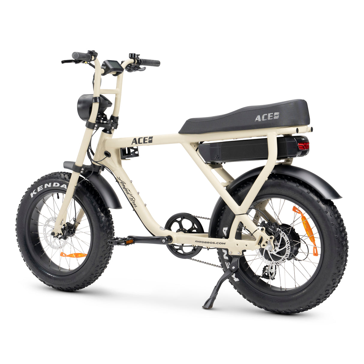 ACE-X Electric Bike