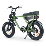 ACE-X Plus+ Electric Bike