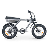 ACE-X Plus+ Electric Bike