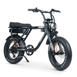 ACE-X Plus+ Electric Bike