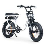 ACE-S Plus+ Electric Bike