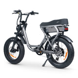 ACE-S Plus+ Electric Bike