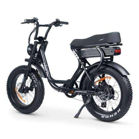 ACE-S Plus+ Electric Bike