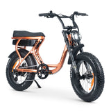 ACE-S Plus+ Electric Bike