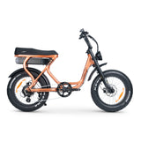 ACE-S Plus+ Electric Bike