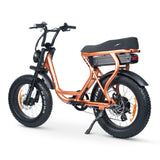 ACE-S Plus+ Electric Bike