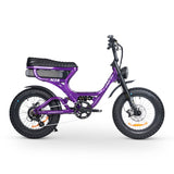 ACE-S PRO Dual Suspension Electric Bike