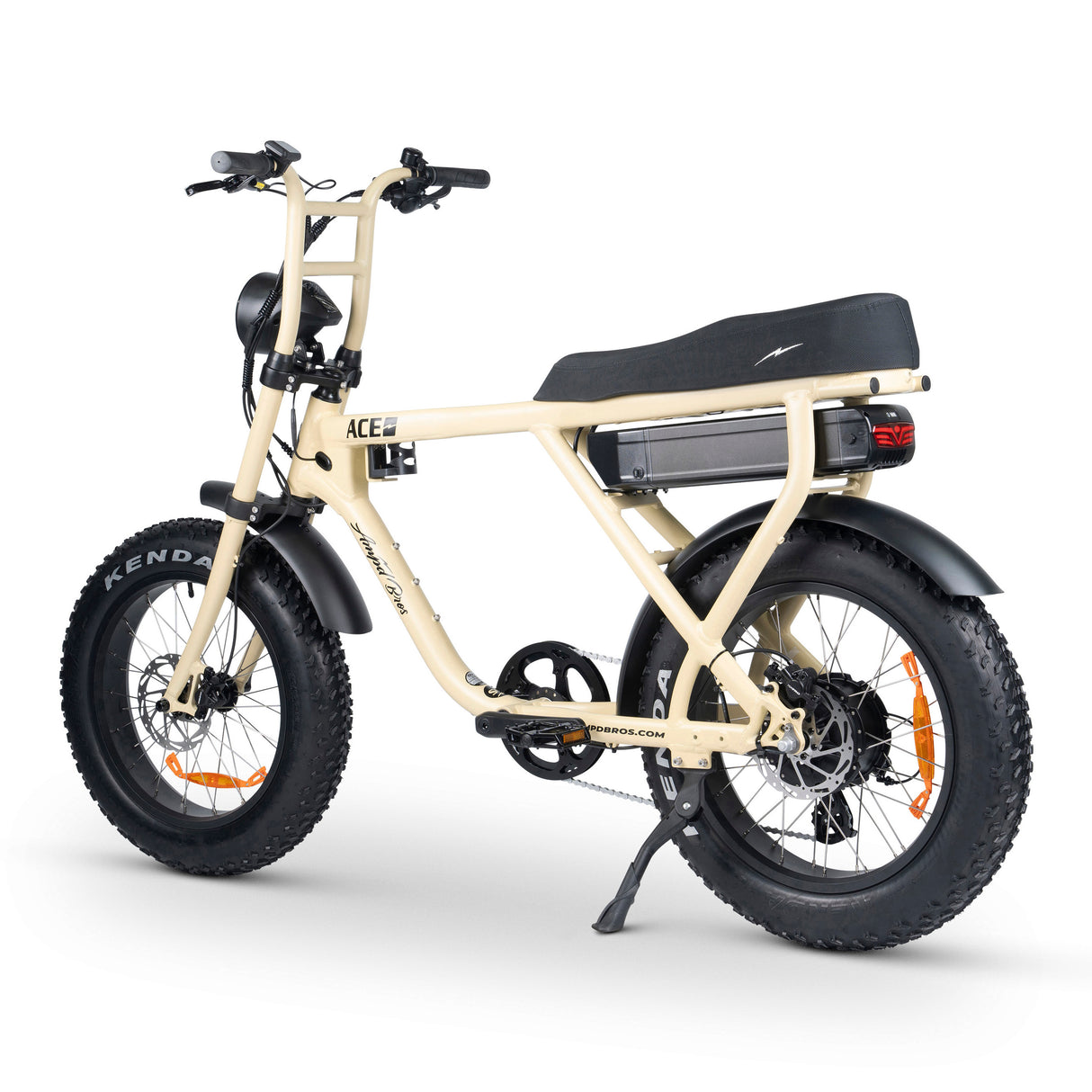 ACE-X Electric Bike