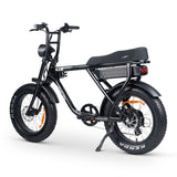 ACE-X Electric Bike