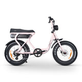 ACE-S Electric Bike