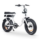 ACE-S Electric Bike