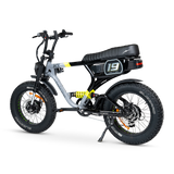ACE-X Demon S5 Dual Electric Bike