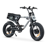 ACE-X Demon S5 Dual Electric Bike
