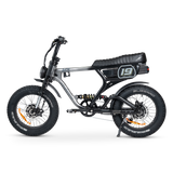 ACE-X Demon S5 Dual Electric Bike
