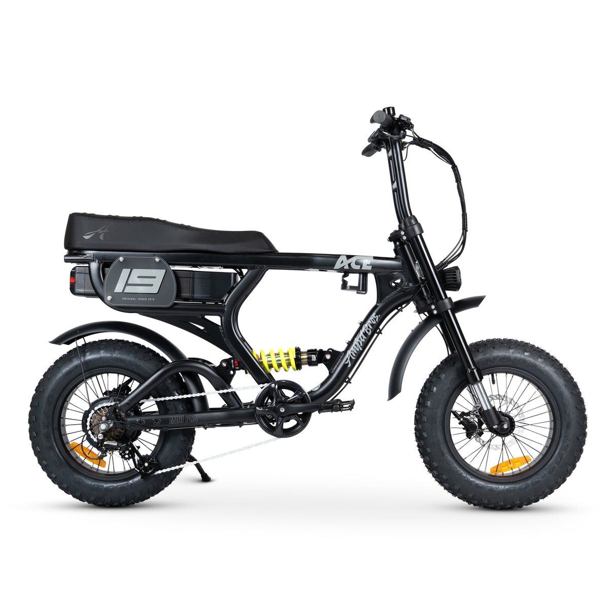 ACE-X Mini PRO Electric Bike
