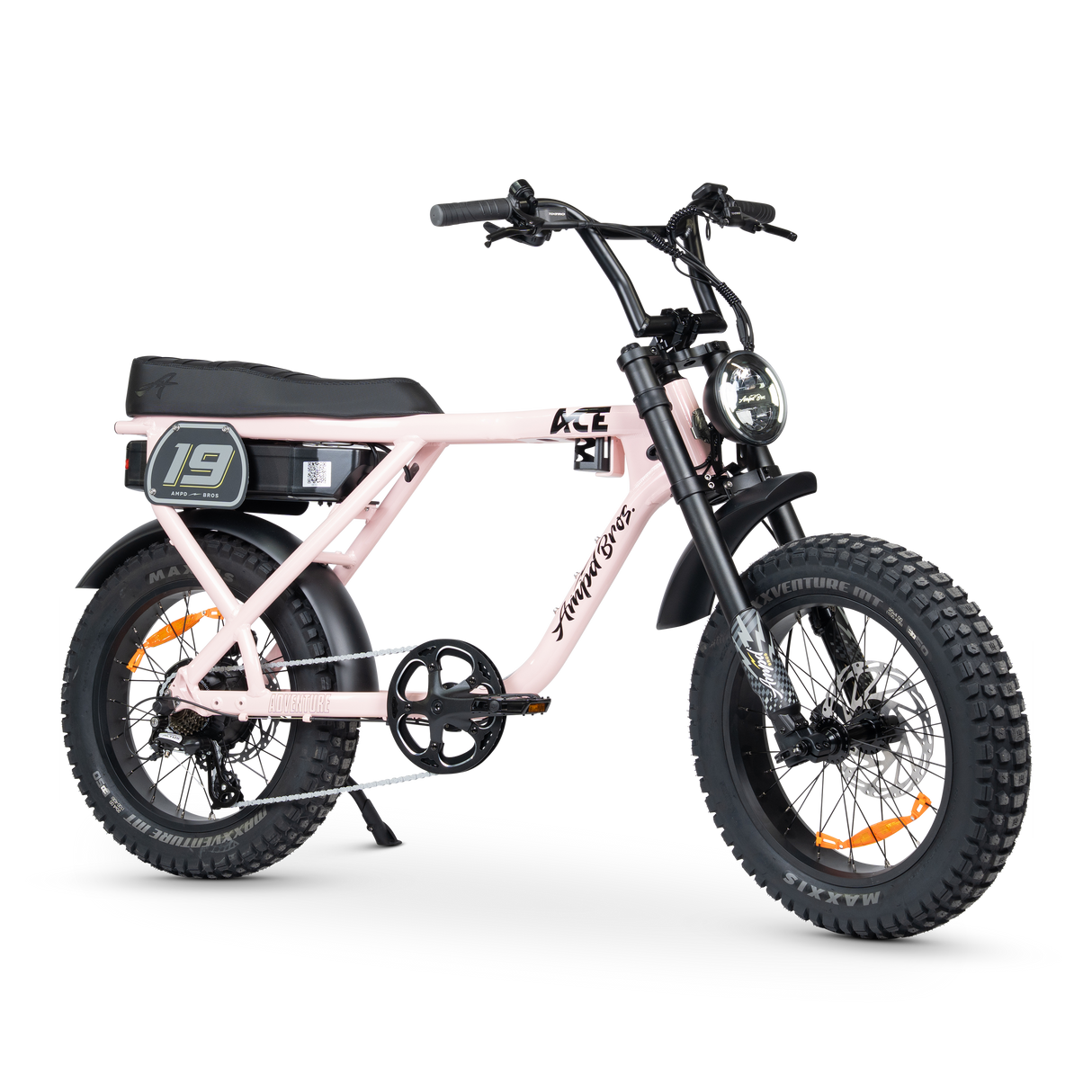 ACE-X Adventure Electric Bike