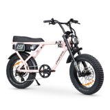 ACE-X Adventure Electric Bike