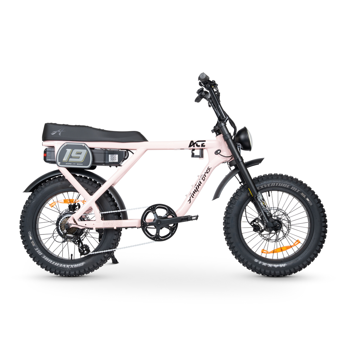 ACE-X Adventure Electric Bike