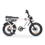 ACE-X Adventure Electric Bike