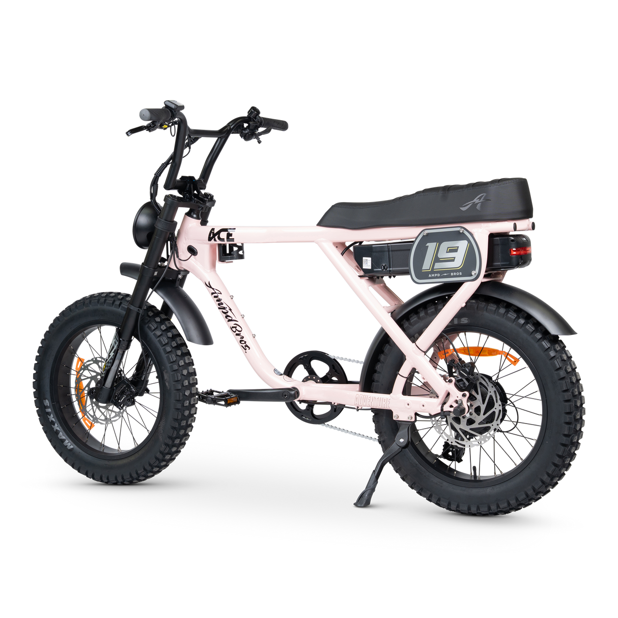ACE-X Adventure Electric Bike