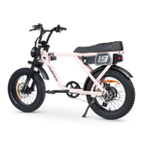 ACE-X Adventure Electric Bike