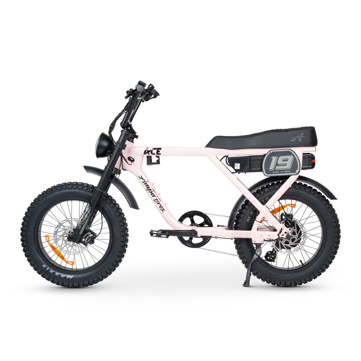 ACE-X Adventure Electric Bike