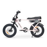ACE-X Adventure Electric Bike