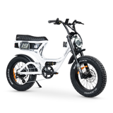 ACE-S PRO Electric Bike