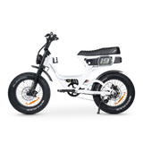 ACE-S PRO Electric Bike