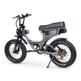 ACE-S PRO Electric Bike