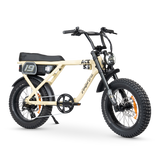 ACE-X Adventure Electric Bike