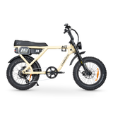 ACE-X Adventure Electric Bike